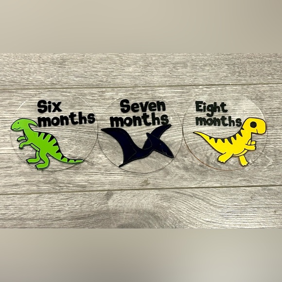 Dinosaur Baby Milestone Discs - Picture 5 of 6